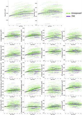 Sex and age effects on gray matter volume trajectories in young children with prenatal alcohol exposure